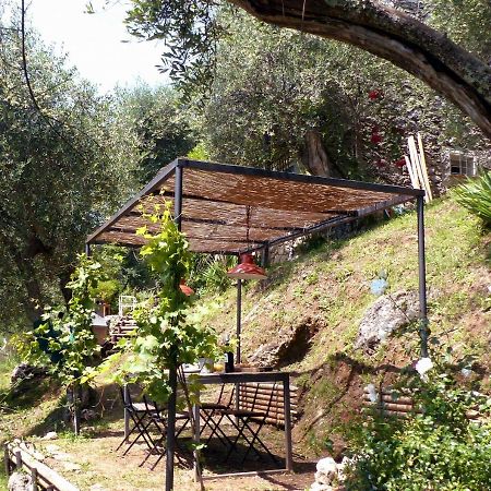 Il Giaggiolo Villa Camaiore Dış mekan fotoğraf
